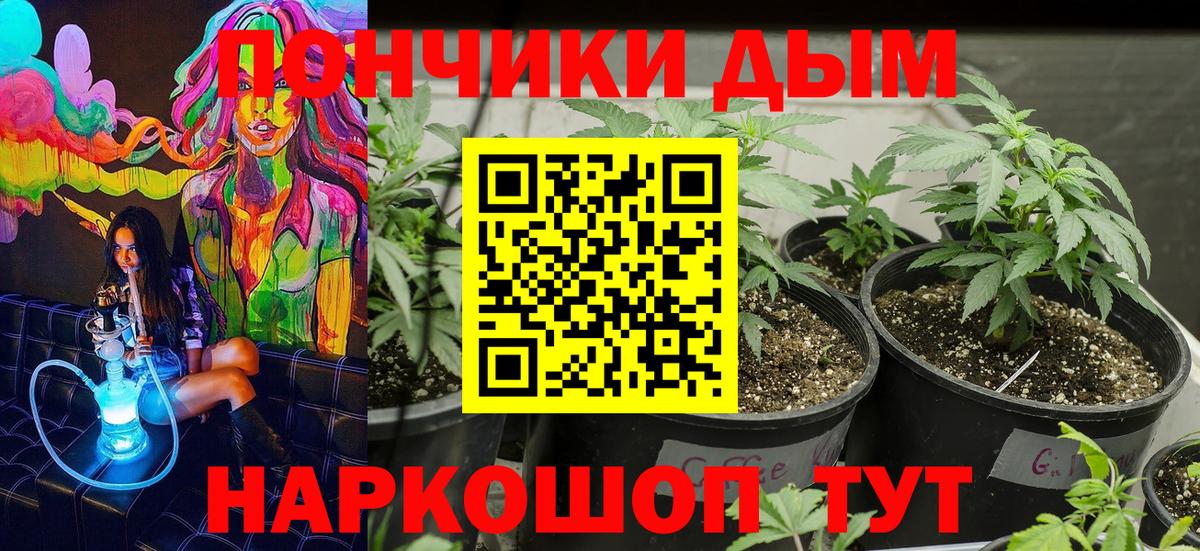 Гатчина  Канабис индика  Вход с VPN  Каннабис тримм  Каннабис SATIVA & INDICA 